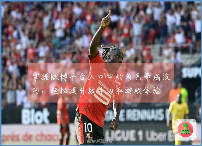 掌握欧博平台入口中的角色养成技巧，轻松提升战斗力和游戏体验