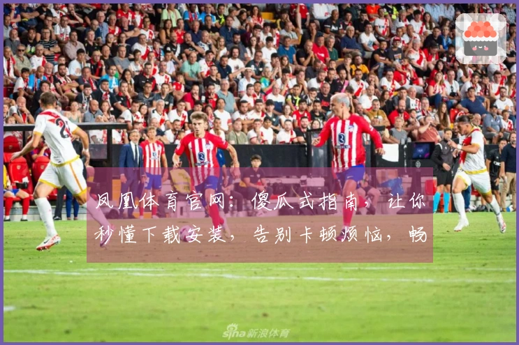 凤凰体育官网：傻瓜式指南，让你秒懂下载安装，告别卡顿烦恼，畅玩游戏无忧！